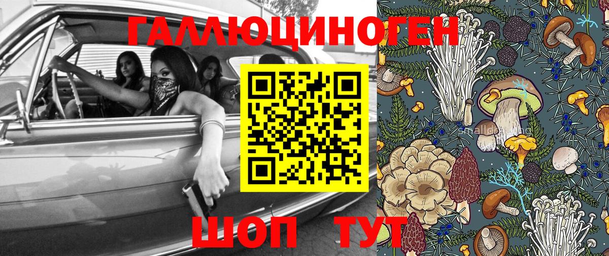 Псилоцибиновые грибы ЛСД  Псилоцибиновые грибы Psilocybe  Ипатово  Вход с VPN 